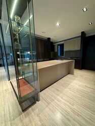 TwentyOne Angullia Park (D9), Condominium #527989571